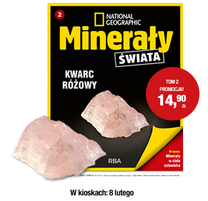 exclusivas cajas para guardar os minerais